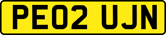 PE02UJN