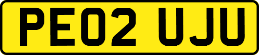 PE02UJU