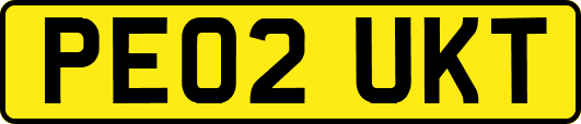 PE02UKT