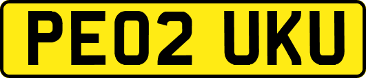PE02UKU