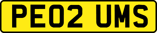 PE02UMS