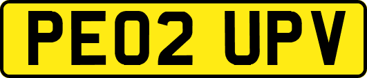 PE02UPV
