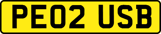 PE02USB