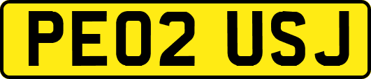 PE02USJ
