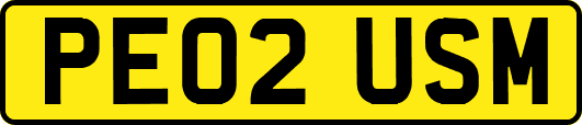 PE02USM