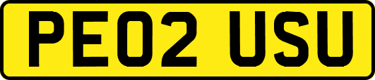 PE02USU