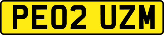 PE02UZM