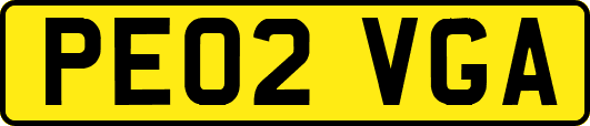 PE02VGA