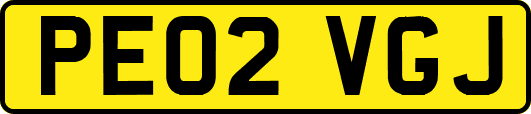 PE02VGJ