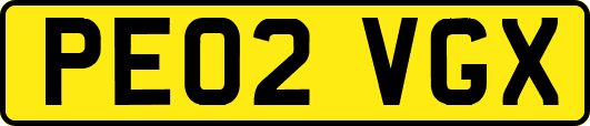 PE02VGX