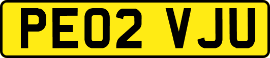 PE02VJU