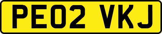 PE02VKJ