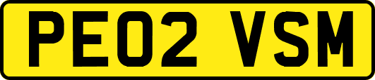 PE02VSM