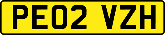 PE02VZH