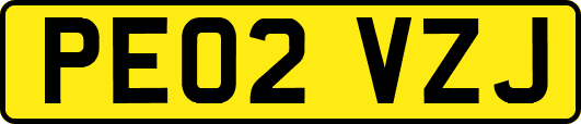 PE02VZJ