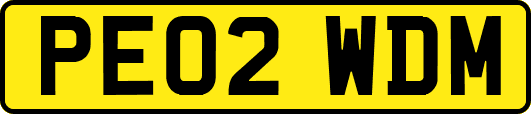 PE02WDM