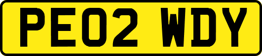 PE02WDY