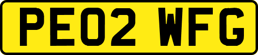 PE02WFG