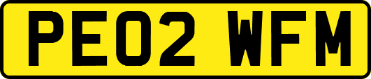 PE02WFM