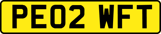 PE02WFT