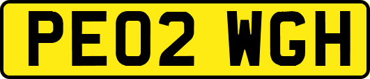 PE02WGH