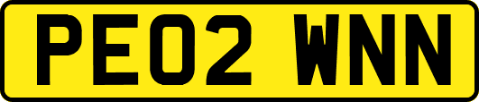PE02WNN