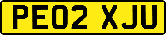 PE02XJU