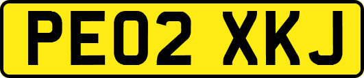 PE02XKJ