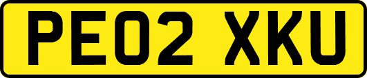 PE02XKU