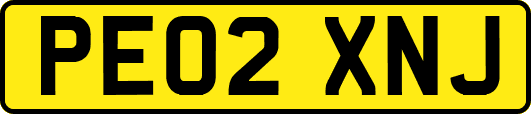 PE02XNJ
