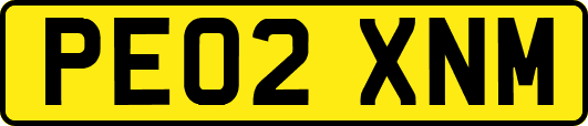 PE02XNM