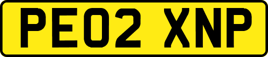 PE02XNP