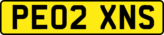 PE02XNS