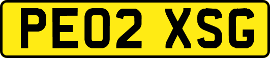 PE02XSG