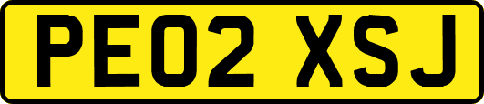 PE02XSJ