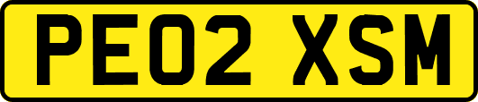 PE02XSM