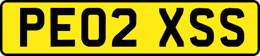 PE02XSS