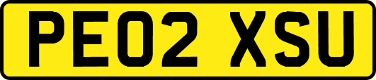 PE02XSU