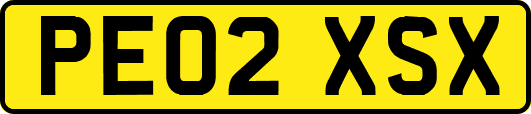 PE02XSX