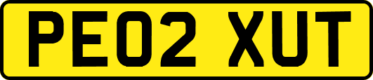 PE02XUT
