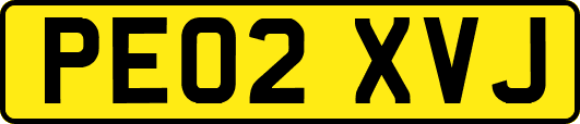 PE02XVJ