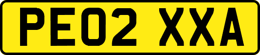 PE02XXA