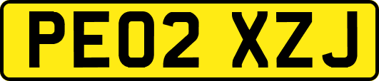 PE02XZJ