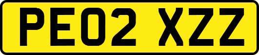PE02XZZ