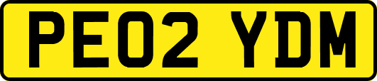 PE02YDM