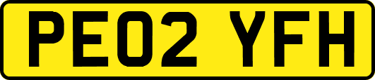 PE02YFH