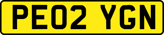 PE02YGN