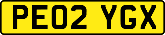 PE02YGX