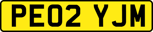 PE02YJM