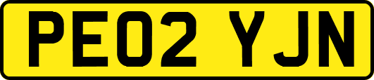 PE02YJN